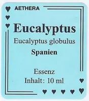 Eukalyptus