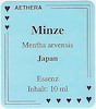 Minzen (Pfefferminze)