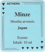 Minzen (Pfefferminze)