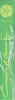 Green Apple