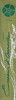 Vetiver