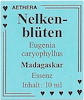 Nelkenblüten