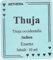 Thuja